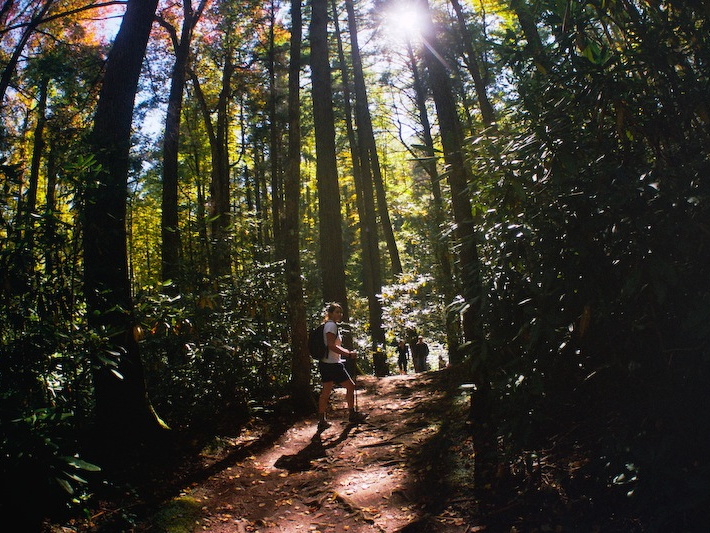 Great Smoky Mountains in the Fall